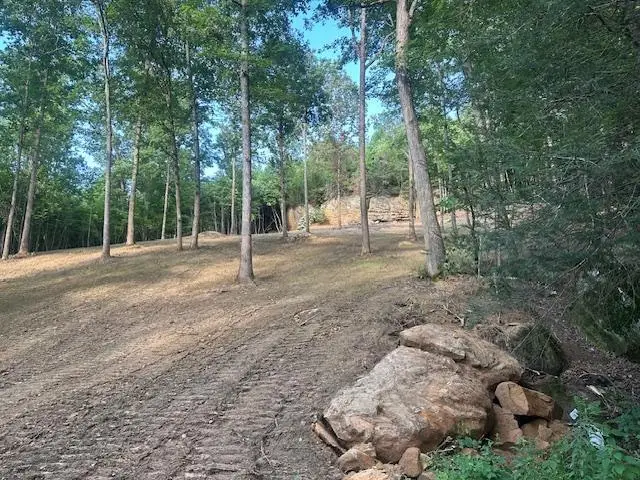 9999 Rocky Branch Road, East Bernstadt, KY 40729 - #1