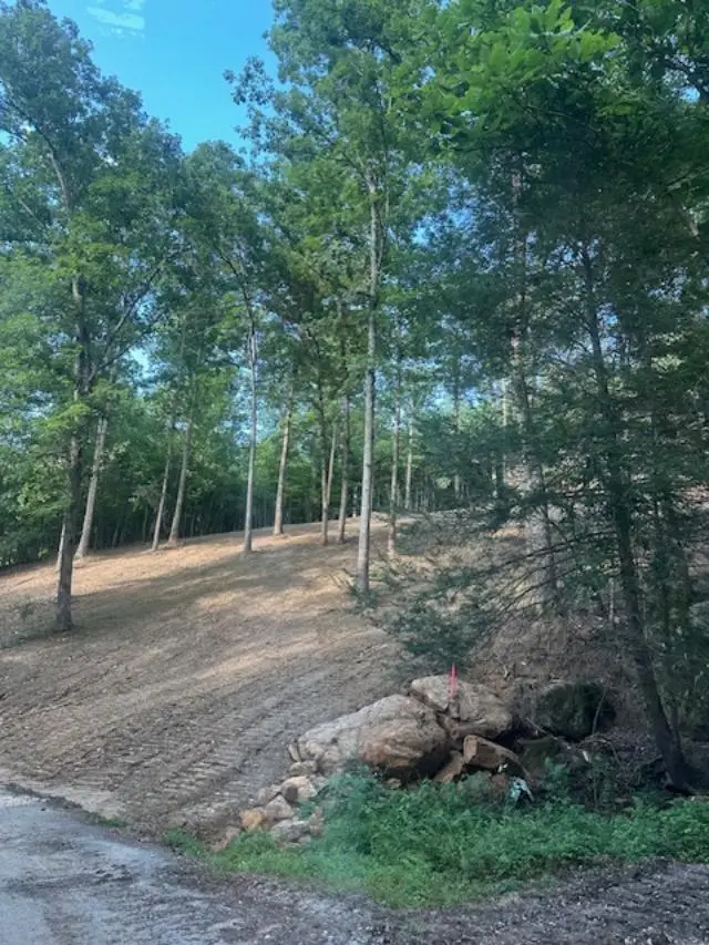 9999 Rocky Branch Road, East Bernstadt, KY 40729 - #3
