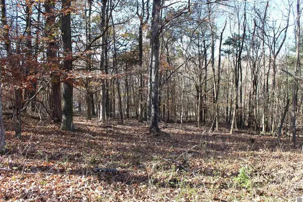 Lot 50 Backstrom Heights Road #63d-50, Eddyville, KY 42038