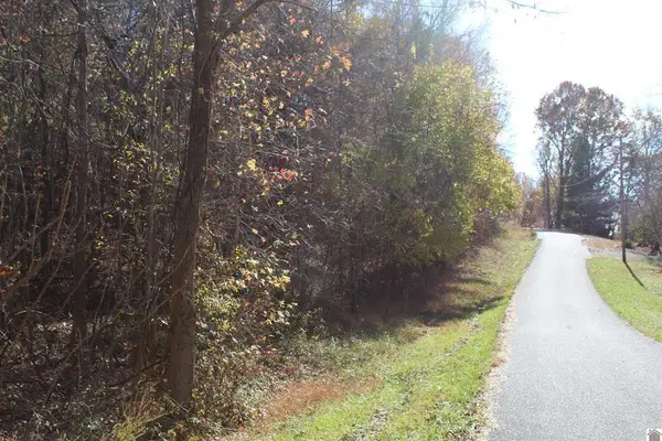 Lot 51 Backstrom Heights Road #63d-51, Eddyville, KY 42038