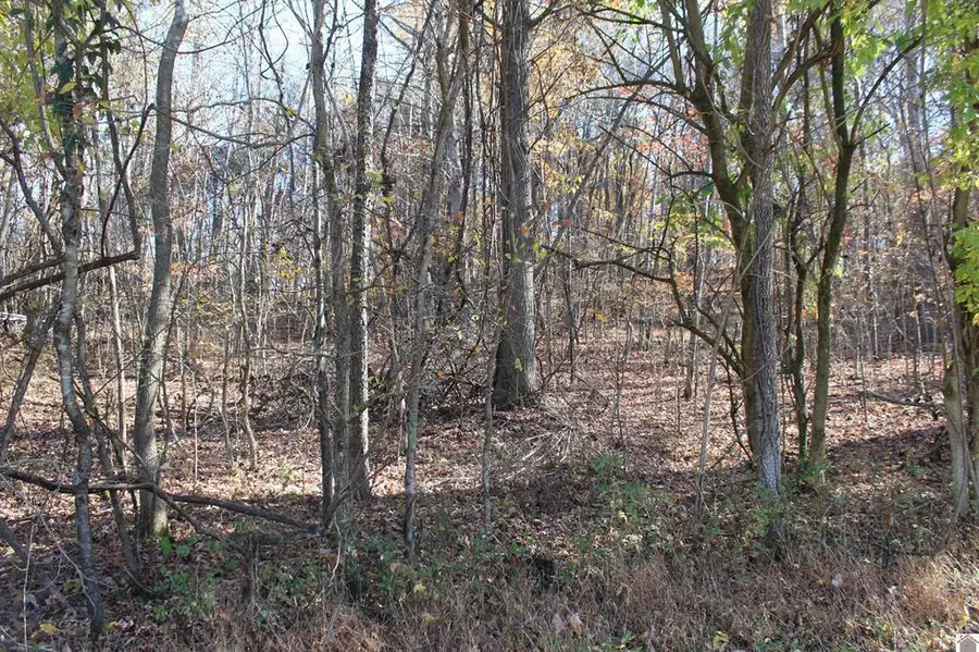 Lot 51 Backstrom Heights Road #63d-51, Eddyville, KY 42038 - #2