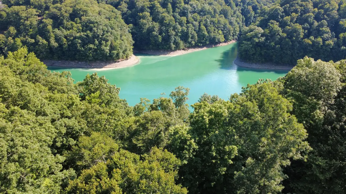 11 Cherry Loop Loop, Jamestown, KY 42629 - #1