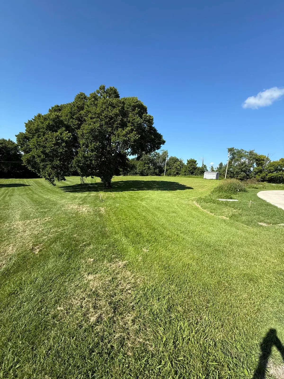 220 Bracken Court, Frankfort, KY 40601 - #1