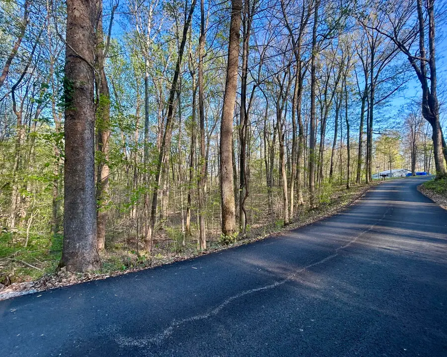 Lot 14E Commerce Landing Rd., Eddyville, KY 42038 - #2
