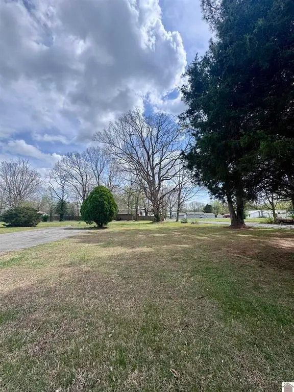 1101 S 30th Street, Paducah, KY 42003 - #2