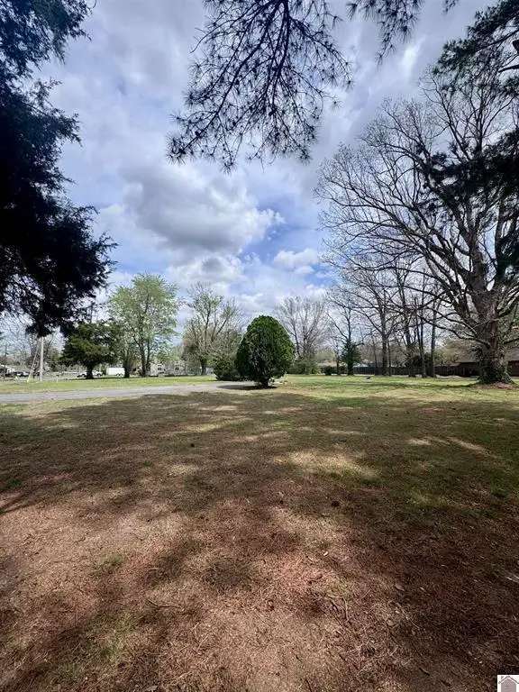 1101 S 30th Street, Paducah, KY 42003 - #3