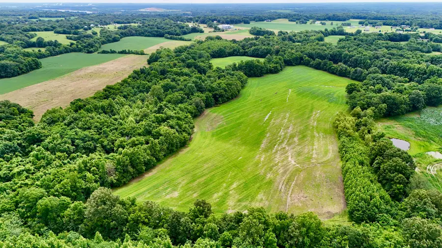 0000 Gillahan Road #50, Ledbetter, KY 42058 - #2