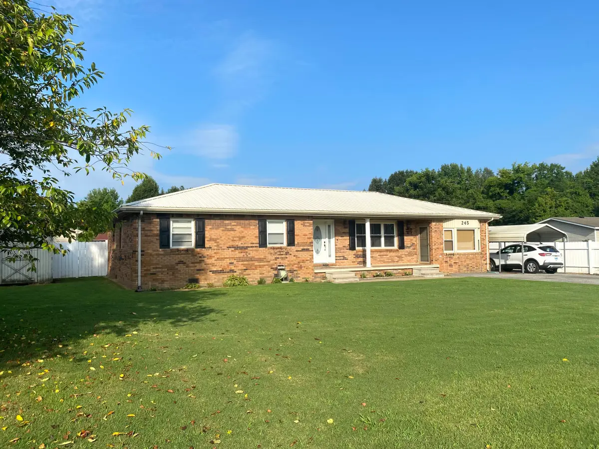 245 Hodge Landing Road, Ledbetter, KY 42058 - #1