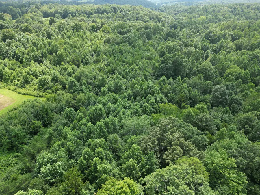 9991 Kentucky 490, East Bernstadt, KY 40729 - #3