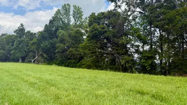 73 Meadows Loop, Russell Springs, KY 42642