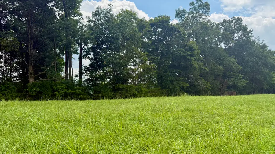 73 Meadows Loop, Russell Springs, KY 42642 - #2