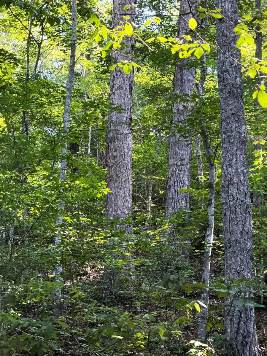 3000 Miller Creek Road, Ravenna, KY 40472 - #3