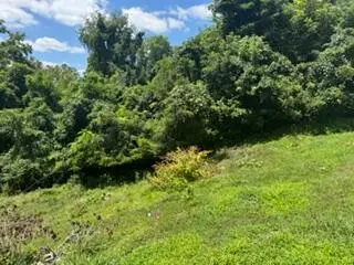 4116 Hart Street, Ashland, KY 41101 - #1