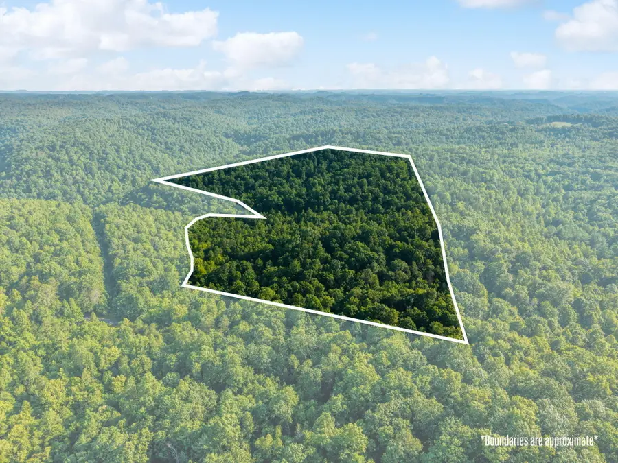 5399 Patsey Pilot Road, Ravenna, KY 40472 - #3