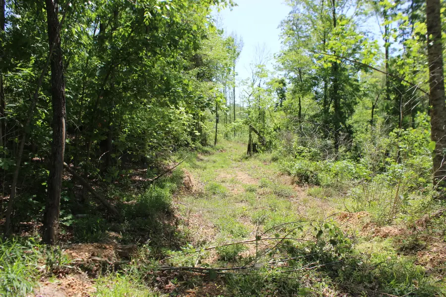 0 T S Chester - Tract A Road, Benton, KY 42025 - #3
