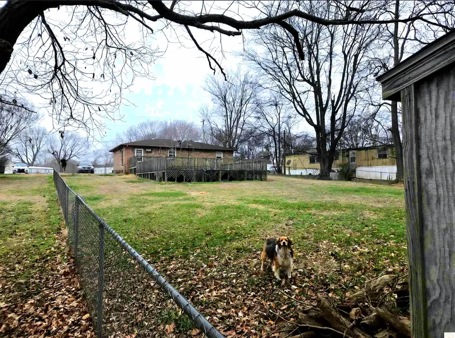 143 Mccullom Lane, Ledbetter, KY 42058 - #3