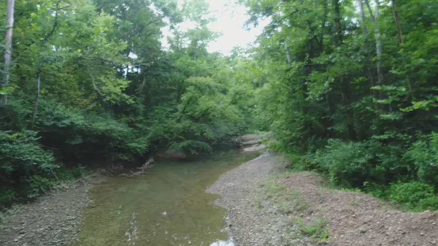 399 Whitaker Cemetery Rd Road, Somerset, KY 42503 - #2