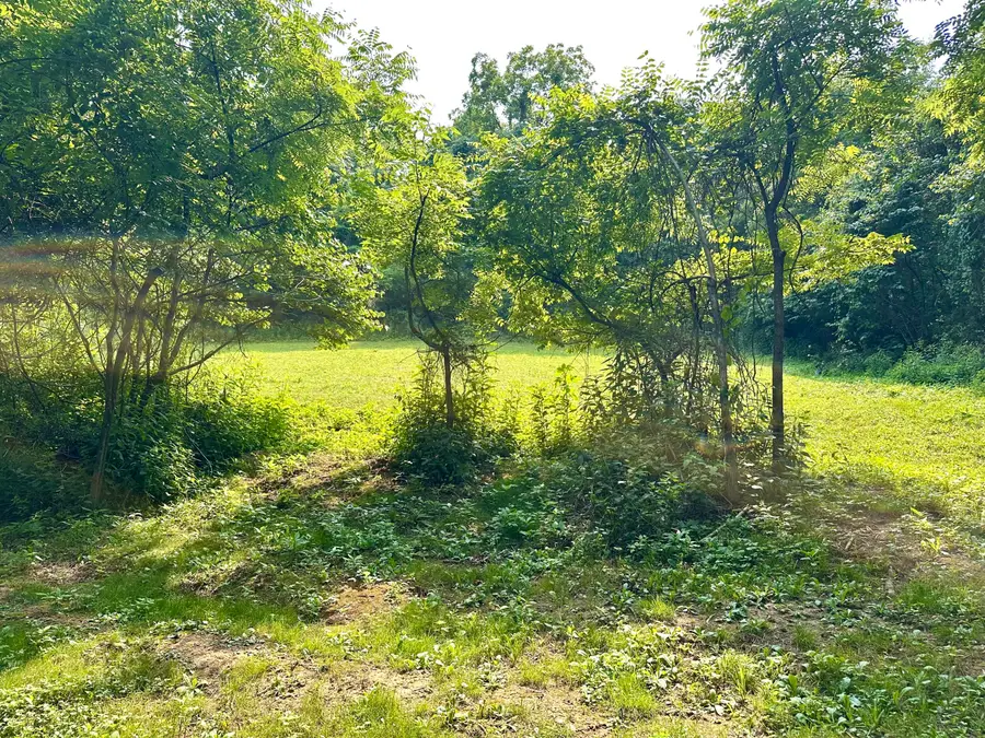1-A Concord Road, Carlisle, KY 40311 - #3