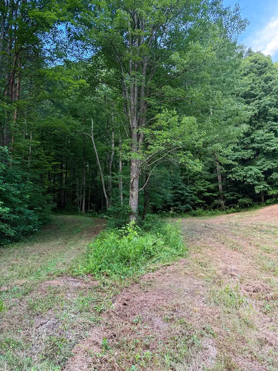 0  Mainous Road, Booneville, KY 41314 - #3