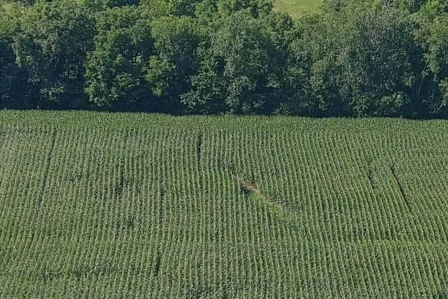 3330-2A Kentucky 1770, Stanford, KY 40484 - #2