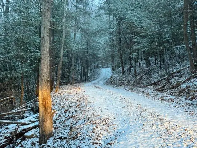Lot 2 Cave Hollow Road, Campton, KY 41301 - #1