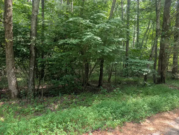 436 & 437 Kurtz Drive, Murray, KY 42071