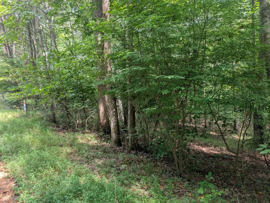 436 & 437 Kurtz Drive, Murray, KY 42071 - #2