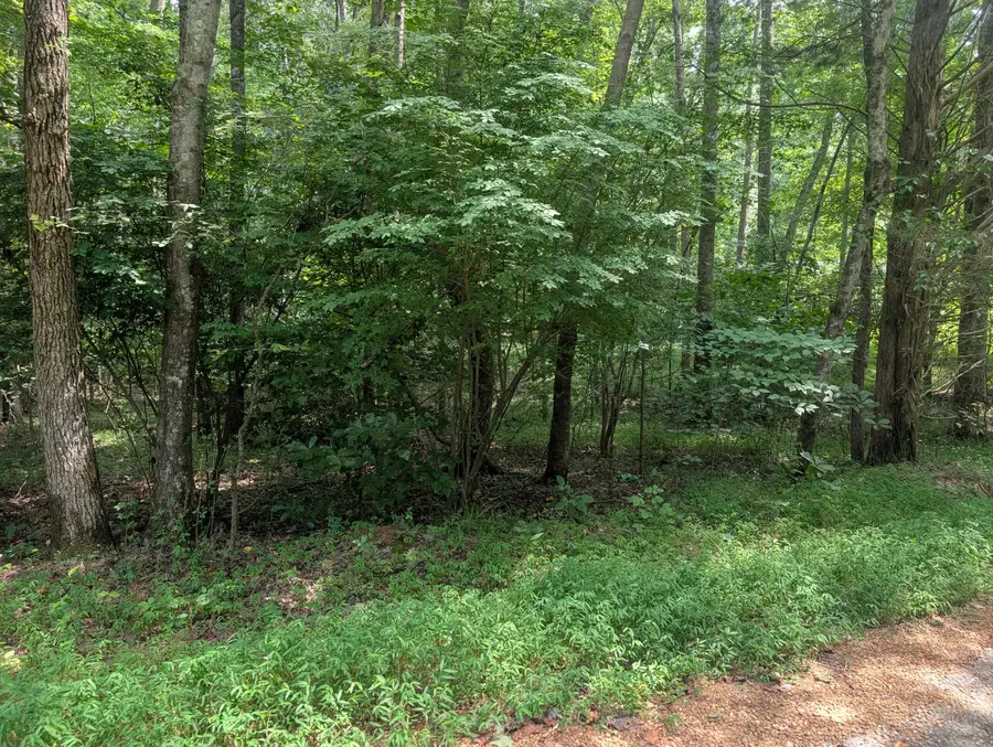 436 & 437 Kurtz Drive, Murray, KY 42071 - #3