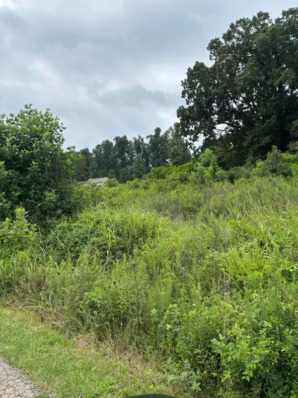 Lot 44 Coral Lane, Mt Vernon, KY 40456