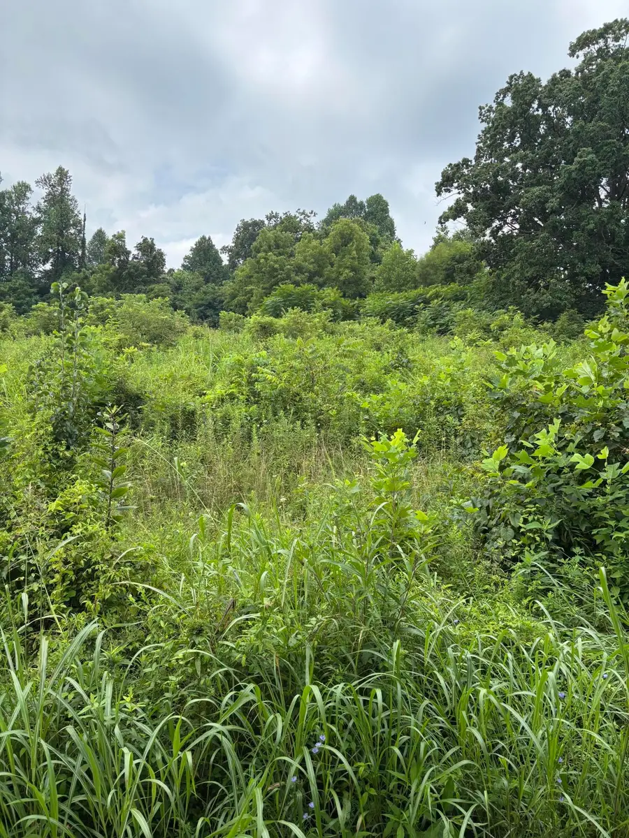 Lot 44 Coral Lane, Mount Vernon, KY 40456 - #3