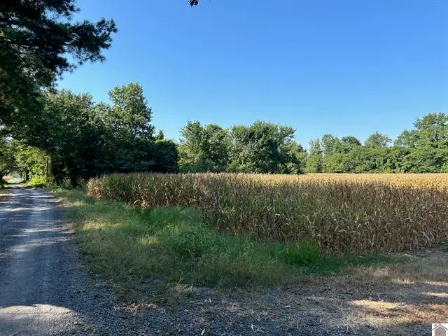0 Arnett Lane, Murray, KY 42071 - #2