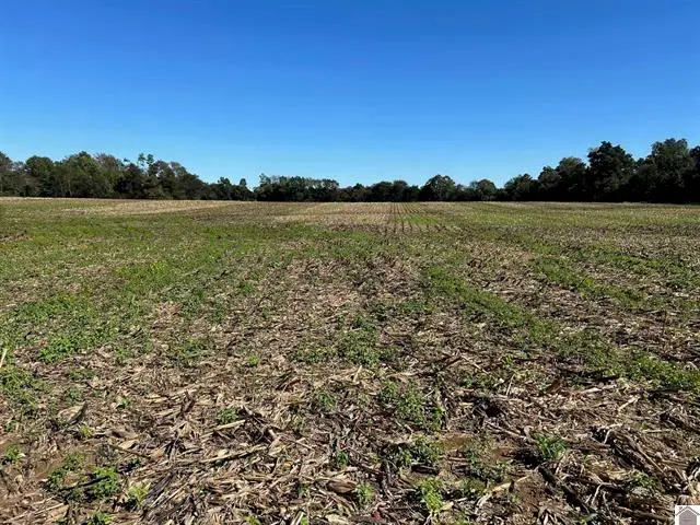 0 Arnett Lane, Murray, KY 42071 - #3