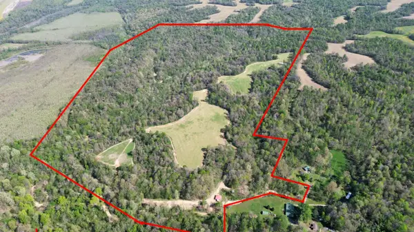 378 County Road 1219, Bardwell, KY 42023
