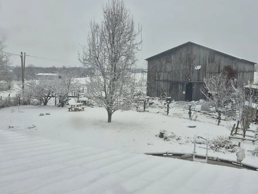 226 Water Shed Road, Sharpsburg, KY 40374 - #3