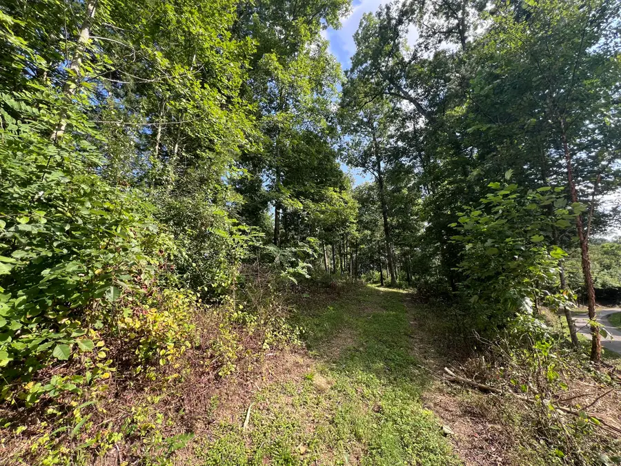 99999  Sharps Woods Road, Pineville, KY 40977 - #3