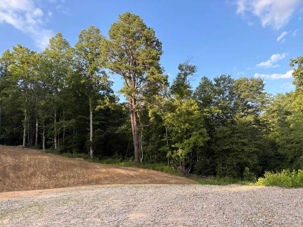 0 Spaws Creek Road, West Liberty, KY 41472 - #1