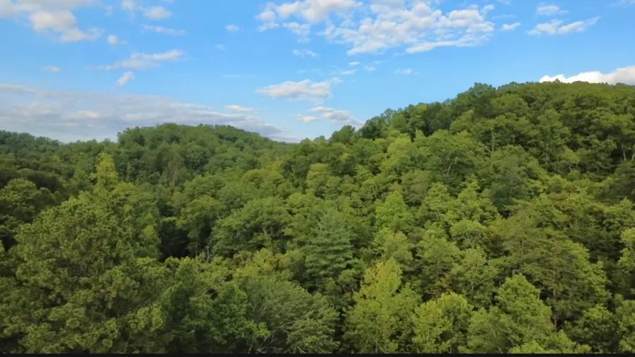 0 Spaws Creek Road, West Liberty, KY 41472 - #3