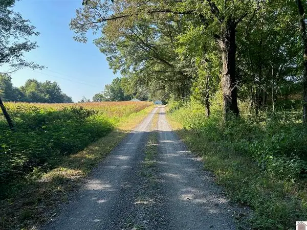 0 Arnett Ln Lane #Proposed Tract A, Murray, KY 42071