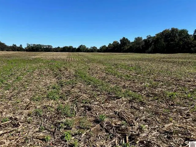 0 Arnett Ln Lane #Proposed Tract A, Murray, KY 42071 - #3