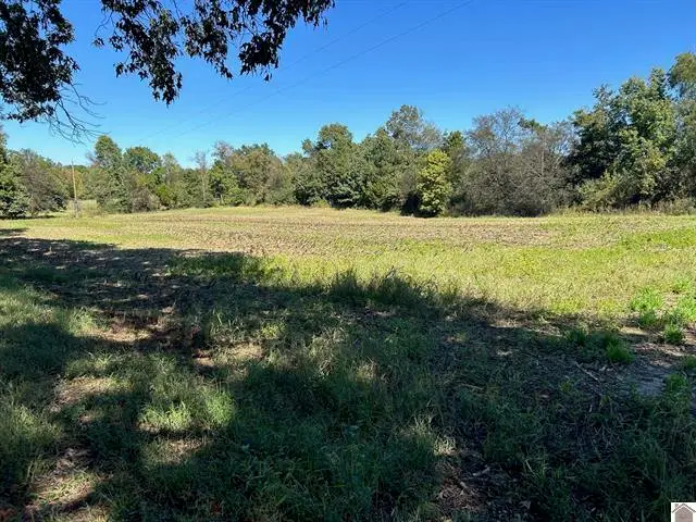 0 Arnett Ln Lane #Proposed Tract B, Murray, KY 42071 - #2