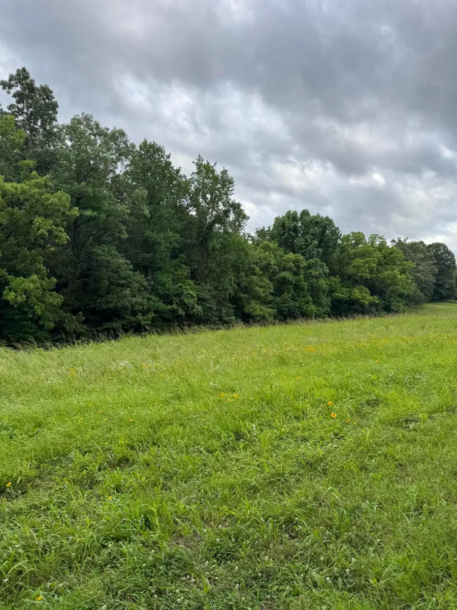 973 Coyote Ridge Road, Cadiz, KY 42211 - #2
