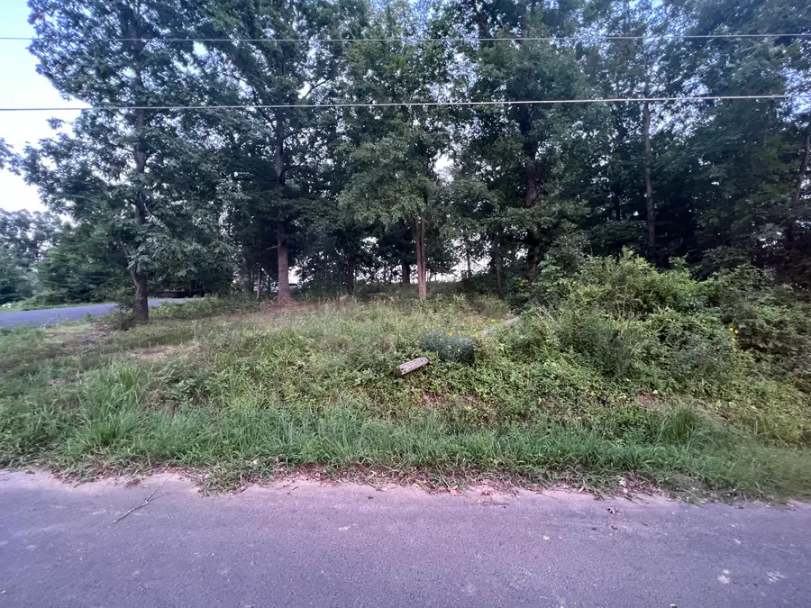 150 Piedmont Road, Gilbertsville, KY 42044 - #3