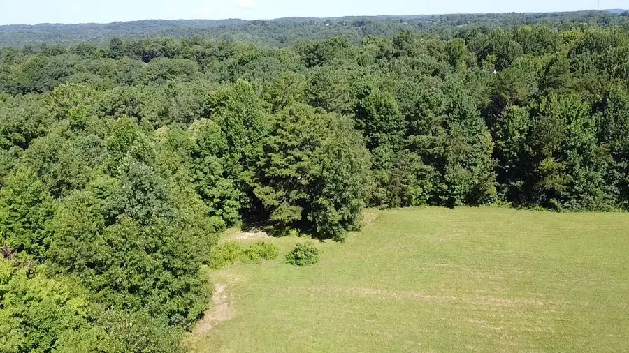 1305 1305 Hawk Creek Rd Road, London, KY 40741 - #2