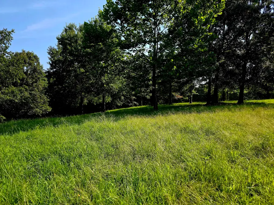 0 Crooked Oak Loop, Benton, KY 42025 - #3