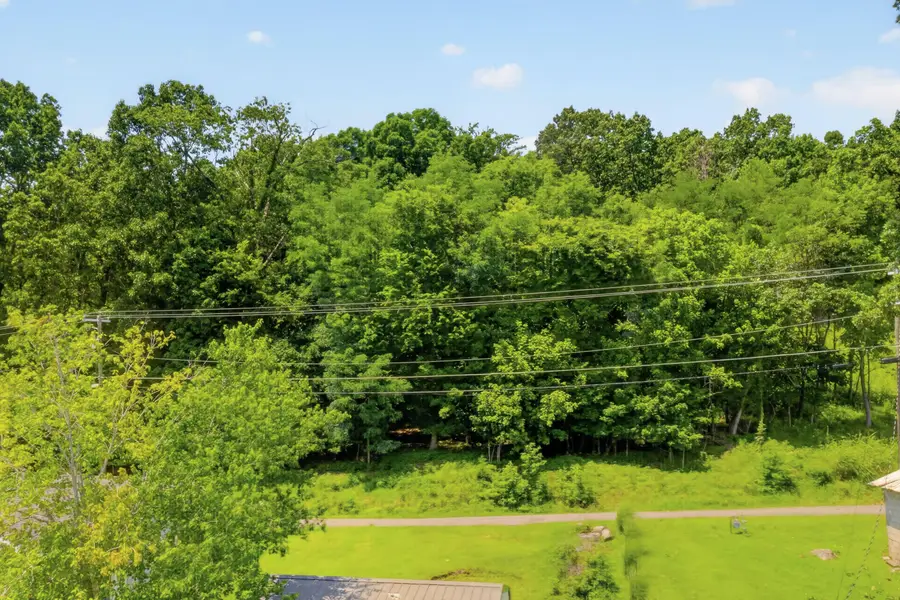 Lot 13 Holly Lane, Kuttawa, KY 42055 - #2