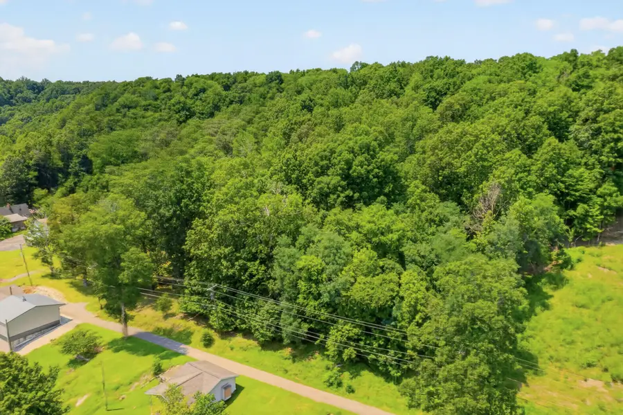 Lot 13 Holly Lane, Kuttawa, KY 42055 - #3