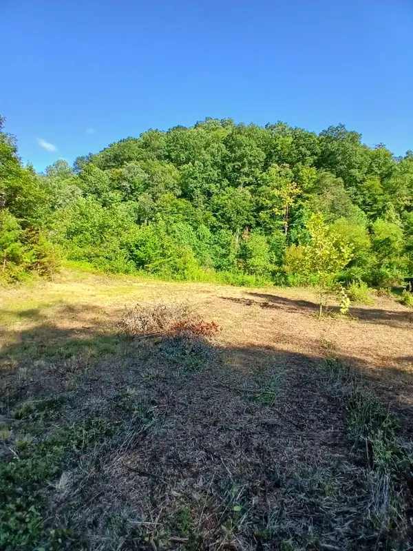 0 Bull Hollow Road, Manchester, KY 40962