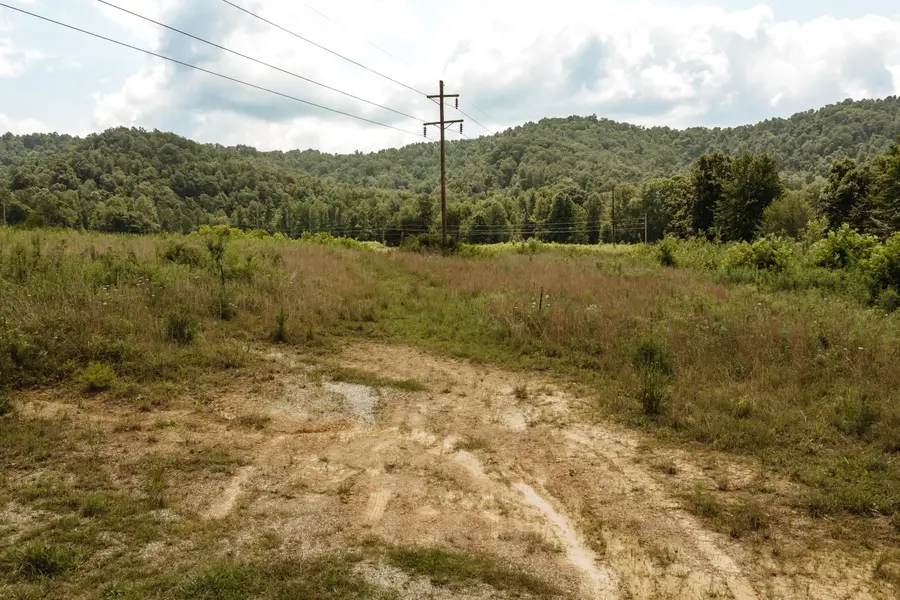 2974 E Fork Road, Means, KY 40346 - #2