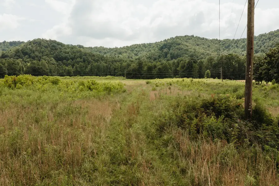 2974 E Fork Road, Means, KY 40346 - #3