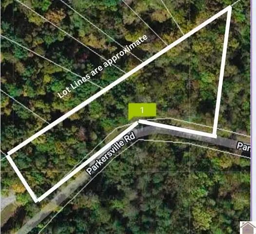 Lot 3 Parkersville Road, Eddyville, KY 42038 - #2